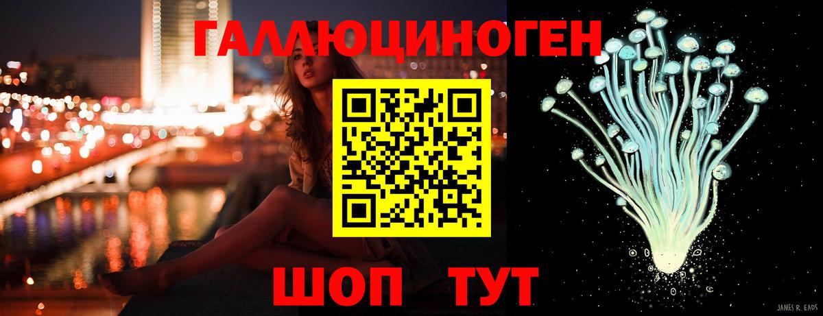 Псилоцибиновые грибы Psilocybine cubensis Арсеньев
